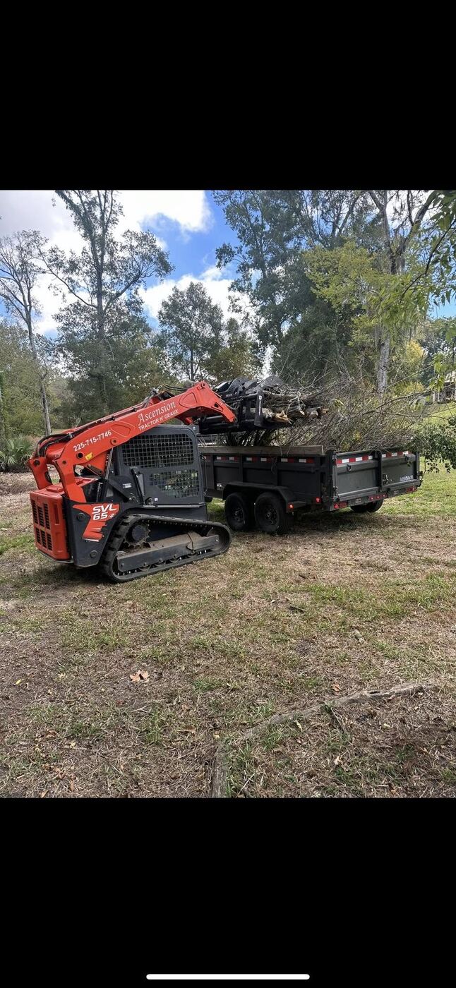 Forestry mulcher clearing brush