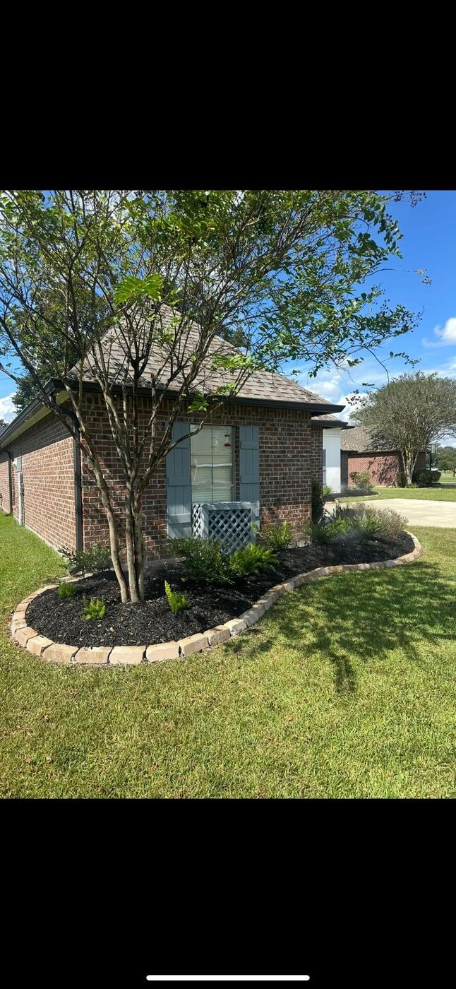 New tree planting in landscape bed