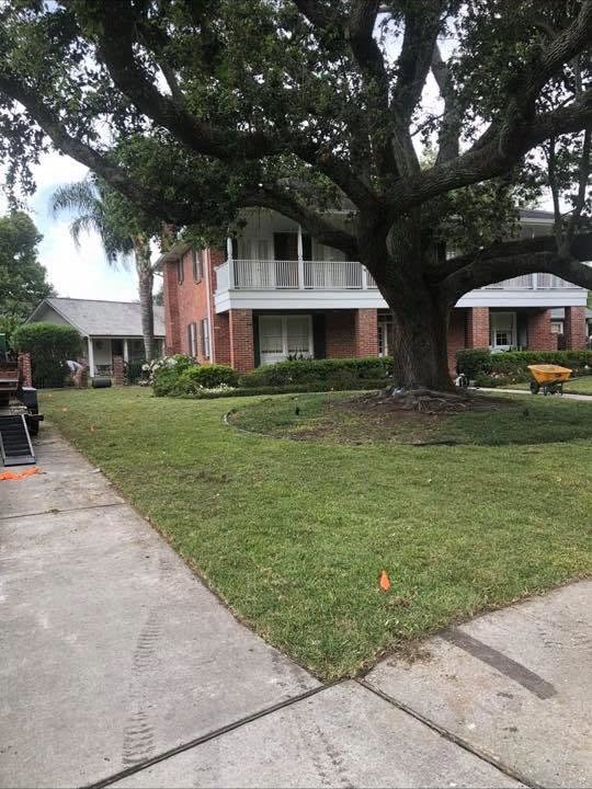 Freshly maintained lawn surrounding a brick home