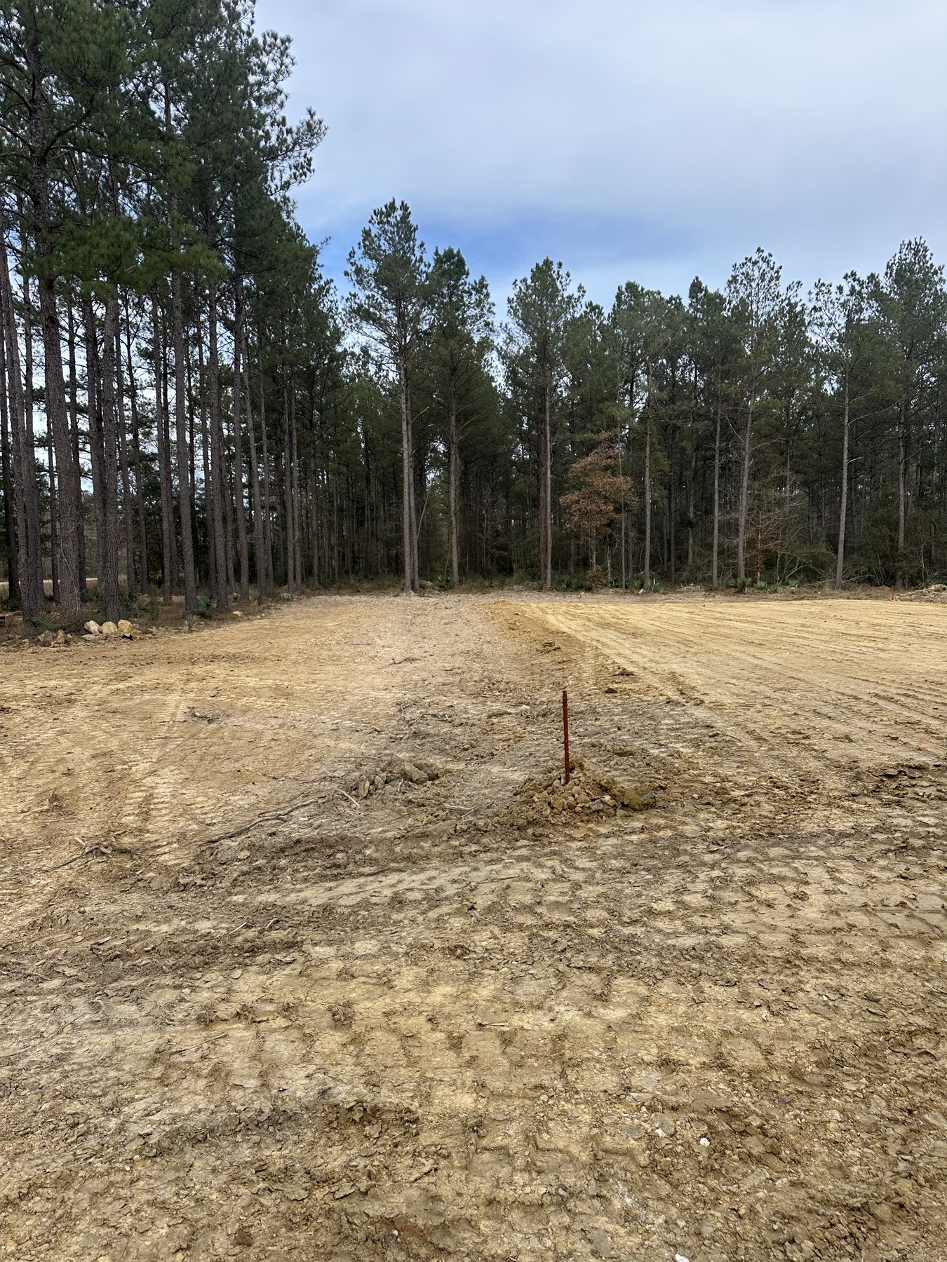 Recently cleared wooded lot with open ground