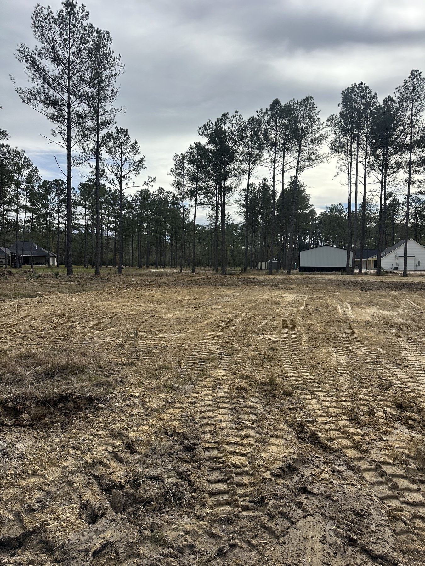 Rough-graded cleared property bordered by trees
