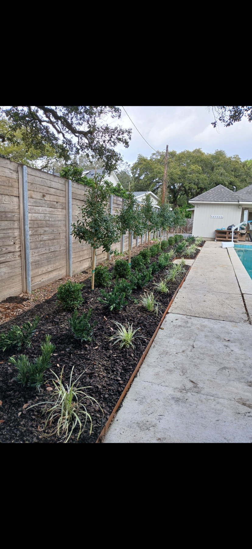 New planting bed with dark mulch and shrubs along a backyard fence