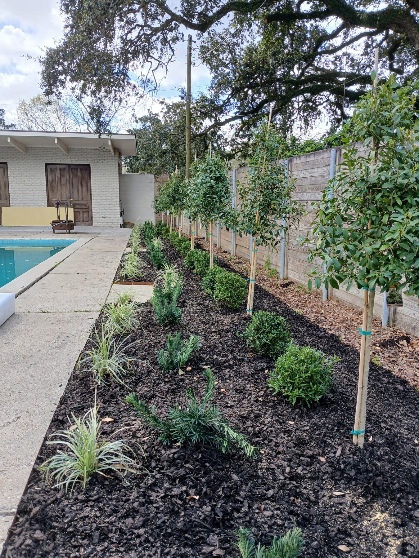 Finished backyard planting bed along a privacy fence