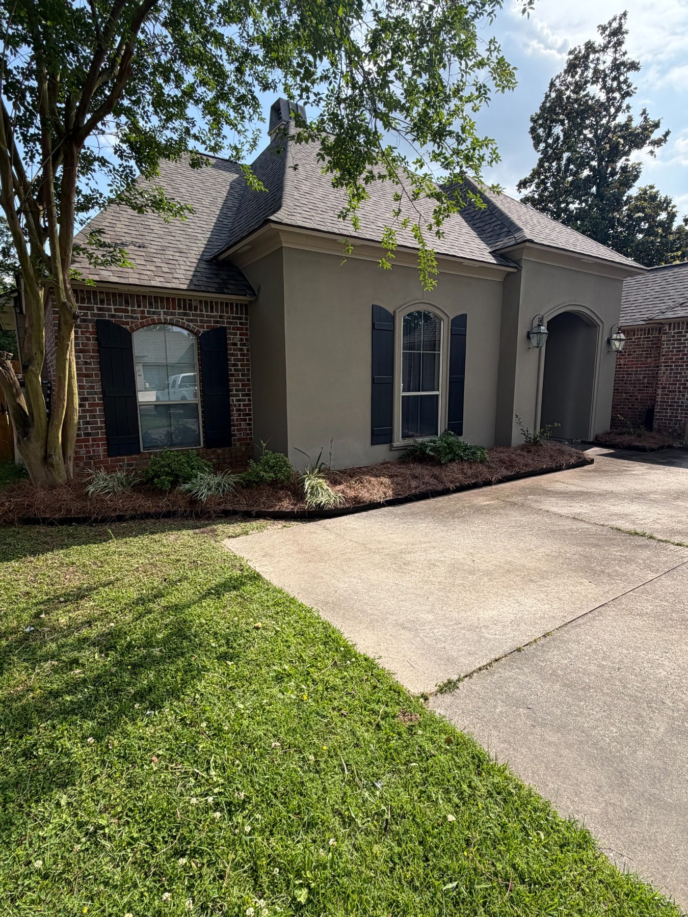 Freshly mulched foundation bed with new plantings at a light-colored home