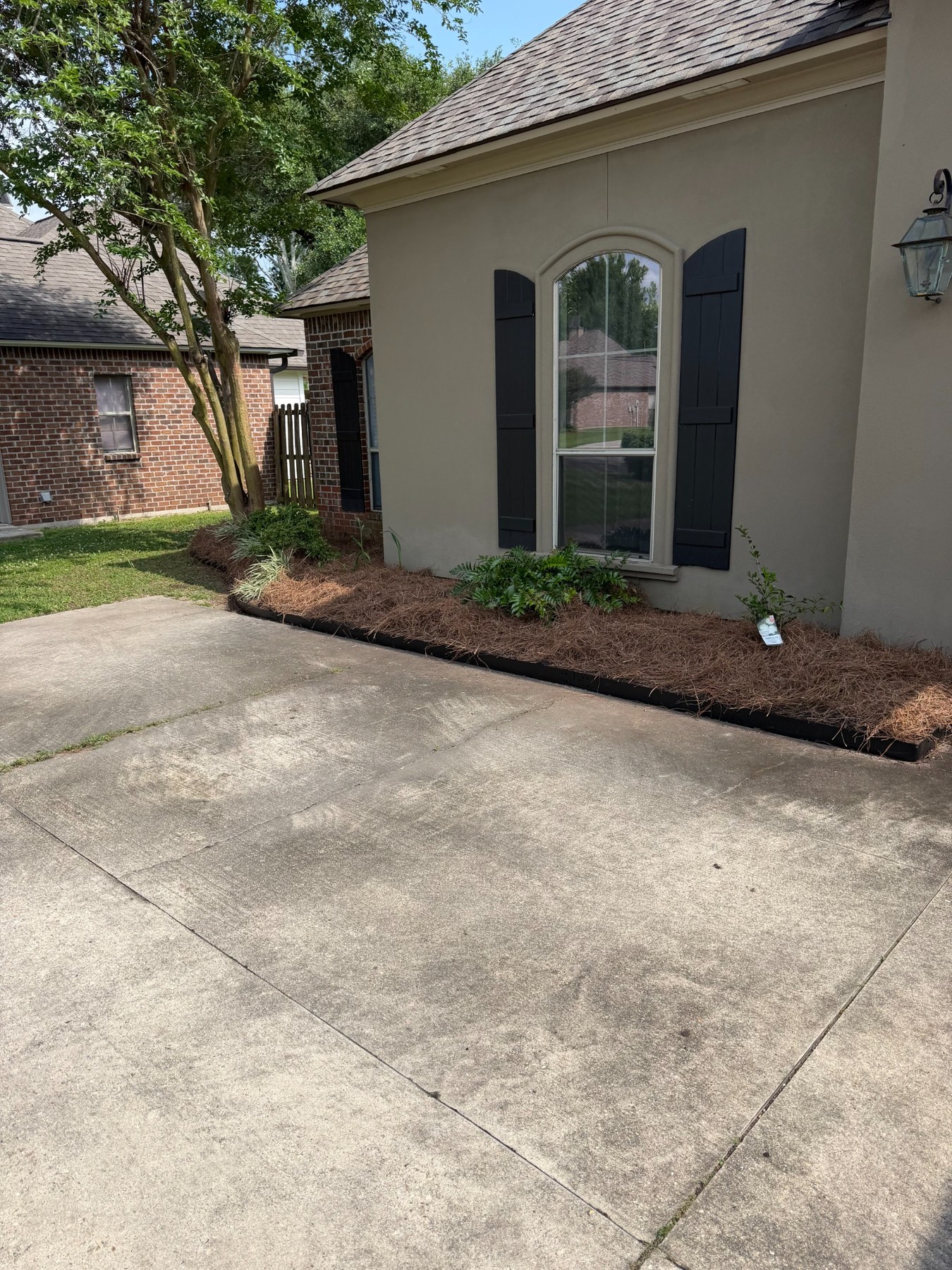 Freshly mulched entry landscape bed with foundation plantings