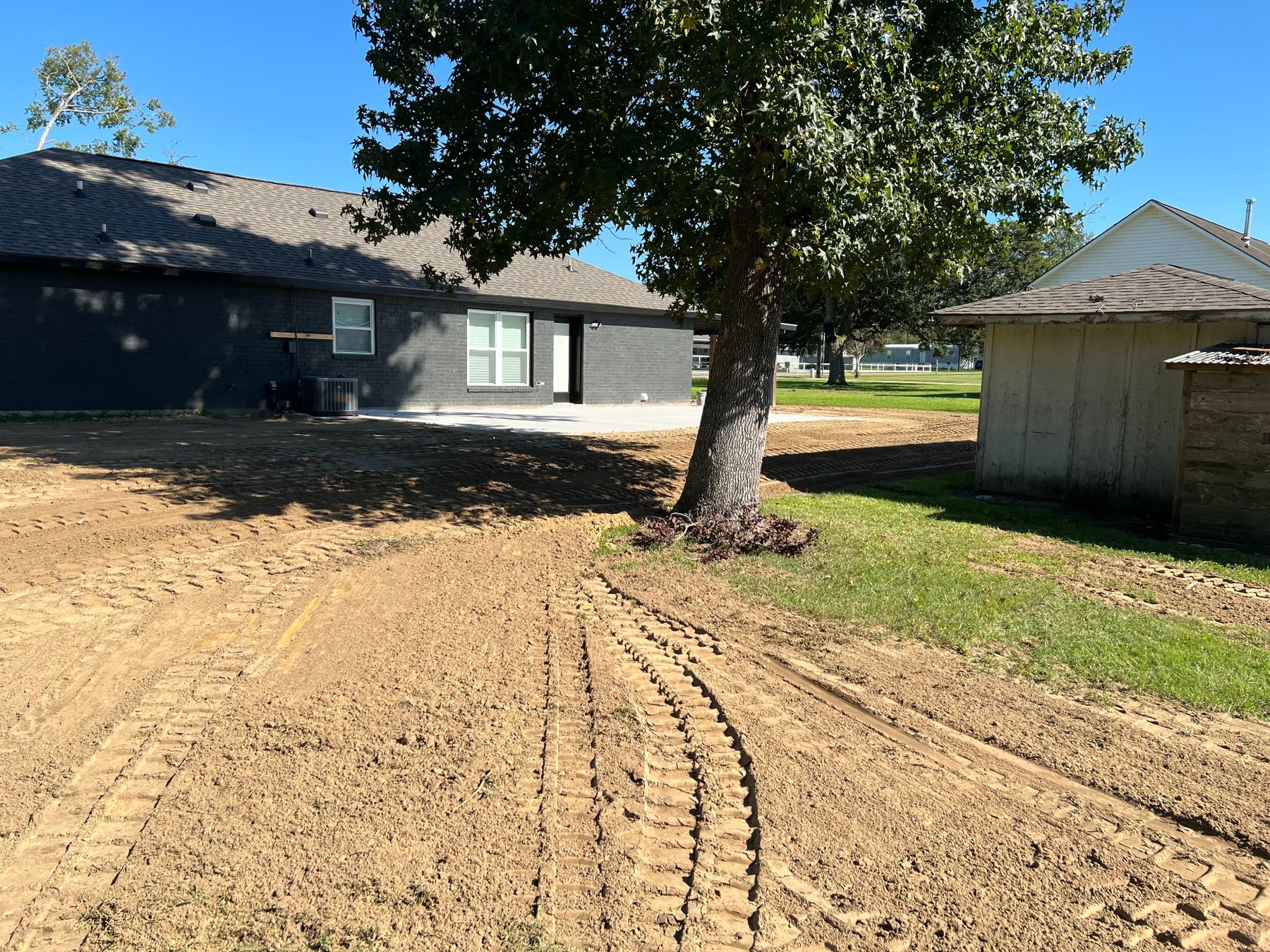 Ground prepared around an existing mature tree