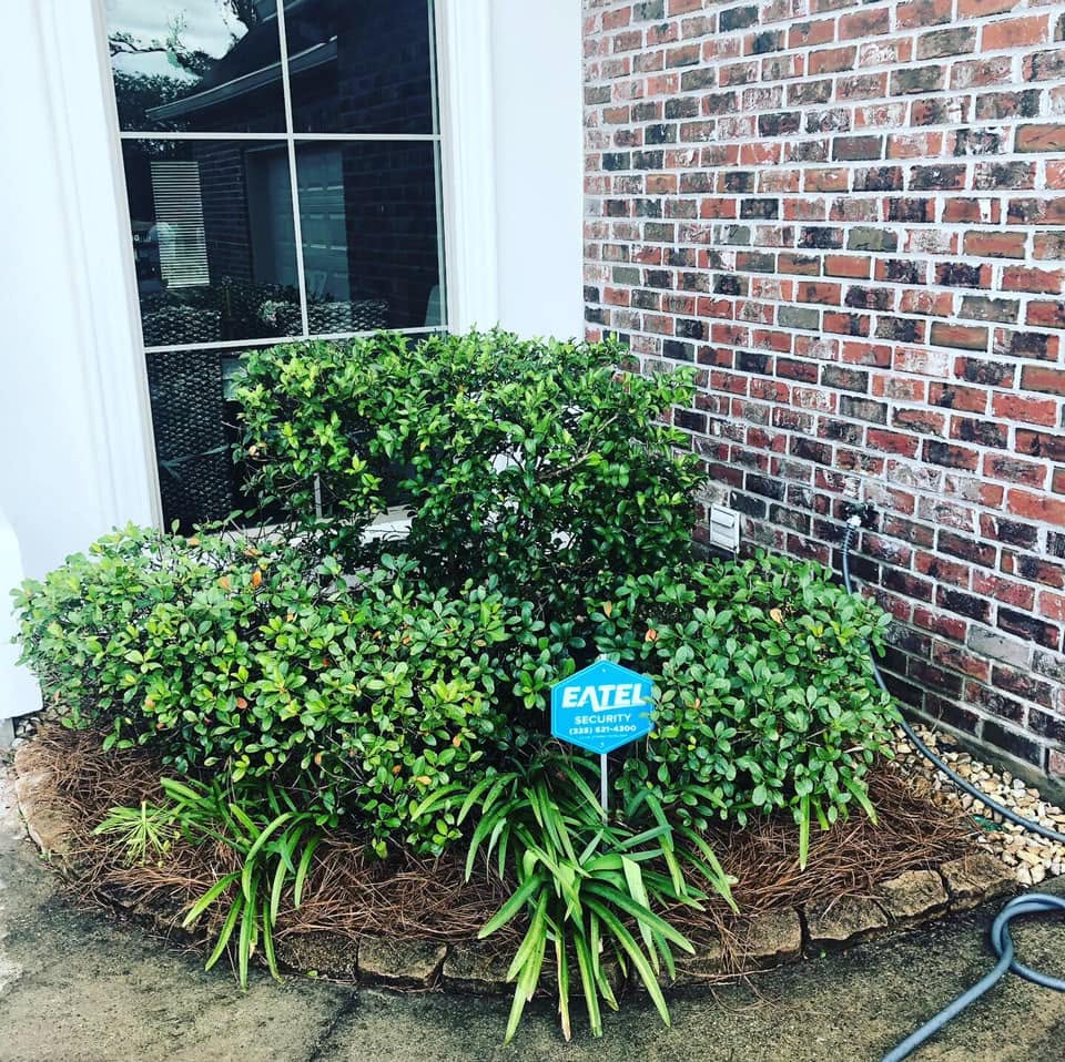 Trimmed shrubs and clean landscape beds